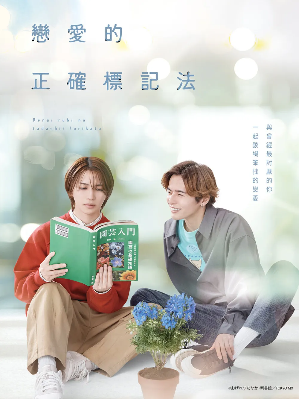 恋爱的正确标记法