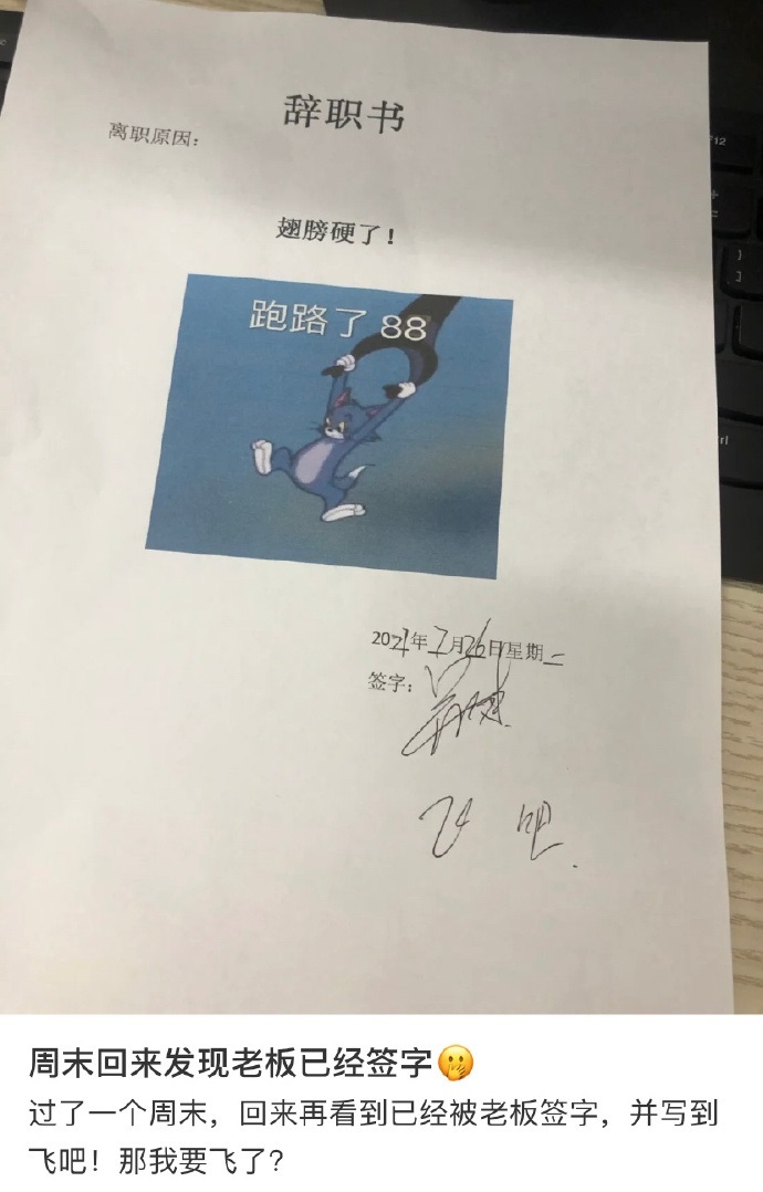 摸鱼汇总第9期 今天股票又涨了 到达了波峰
