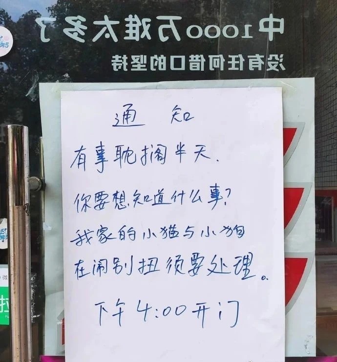 摸鱼汇总第12期 在这洗一次车要多少钱