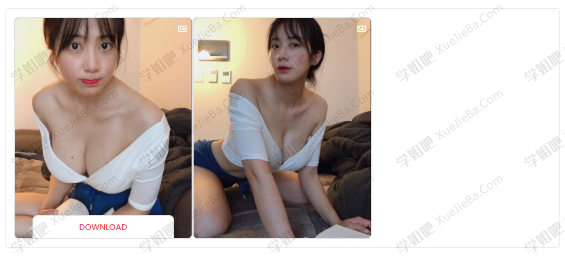 Bigbangram 一个简单好用的INS/推特/FB图片及视频下载网站