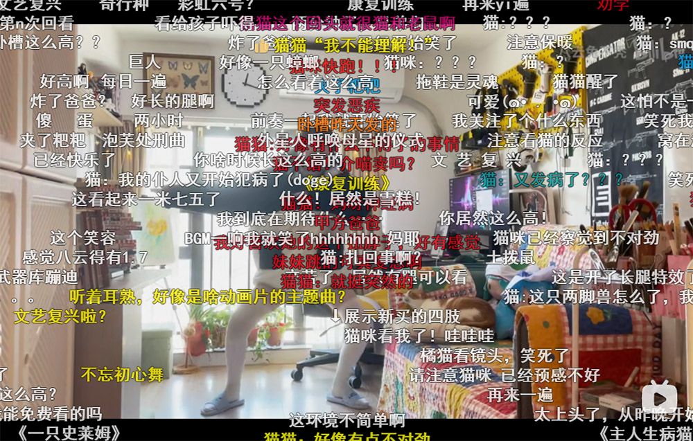 B站沙雕妹子UP主@八云兔不秃 网友们的快乐之源