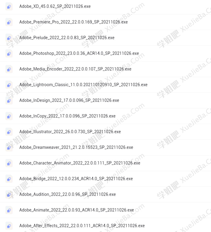 Adobe2022全家桶直装版 共15个软件 已破解 可永久使用