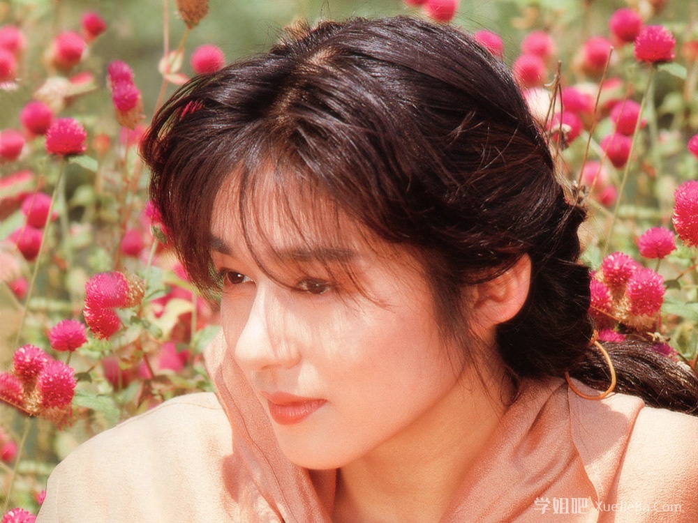 美人如画 青山知可子《亜熱帯》《熱帯性気候》写真集下载