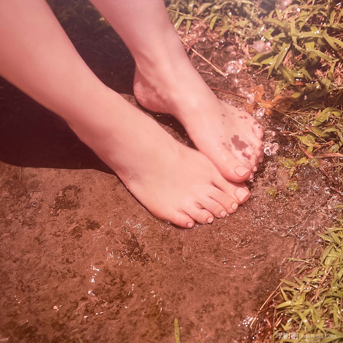 台湾鸡排妹「郑家纯」10周年纪念写真集《纯熟》