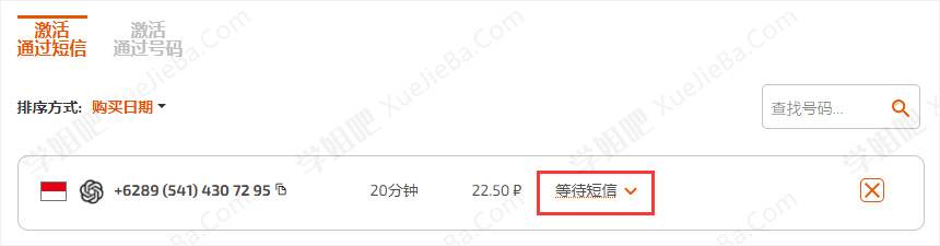 一份详细的ChatGPT图文注册教程 附接码平台及浏览器插件