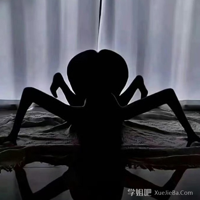 摸鱼汇总第16期 吃俺老孙一棒