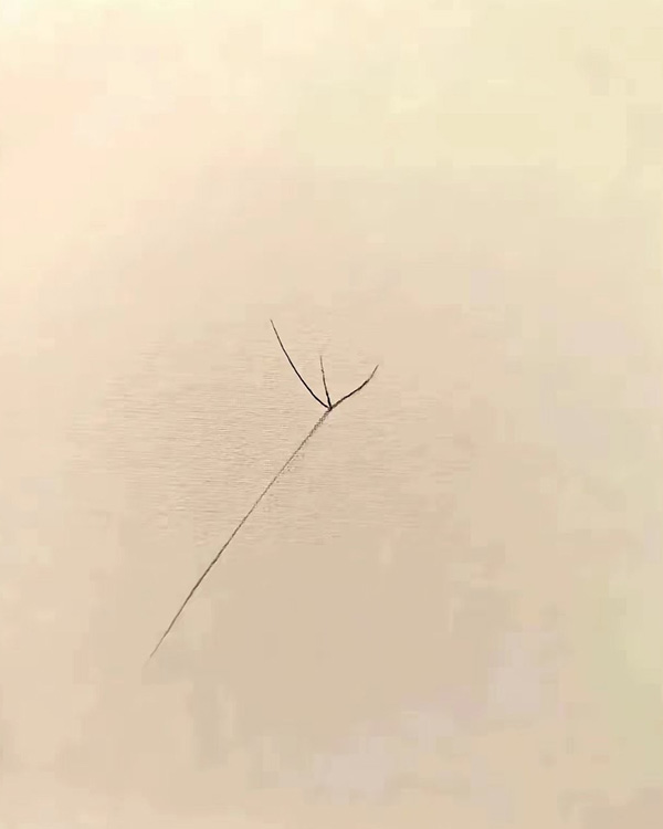脑补的艺术 一切尽在不言中